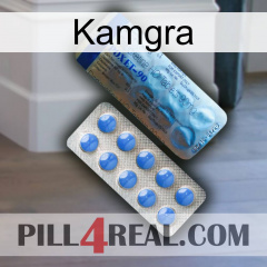 Kamgra 40